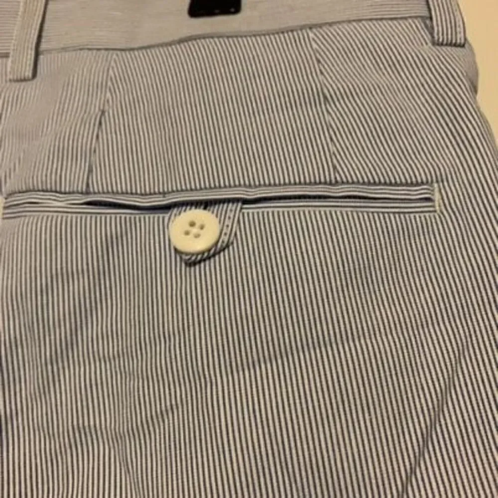 Alan Flusser Size 34x32 Blue & White Striped Pants *New*
